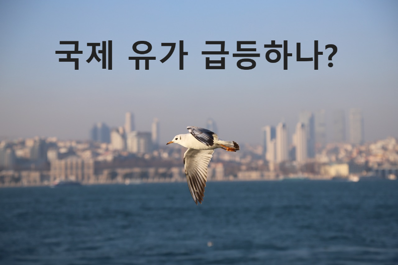 국제 유가 급등 불안 심리는 이미 확산 중