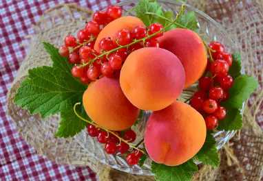 면역력을-높이는-방법-면역력에-좋은-음식-건강