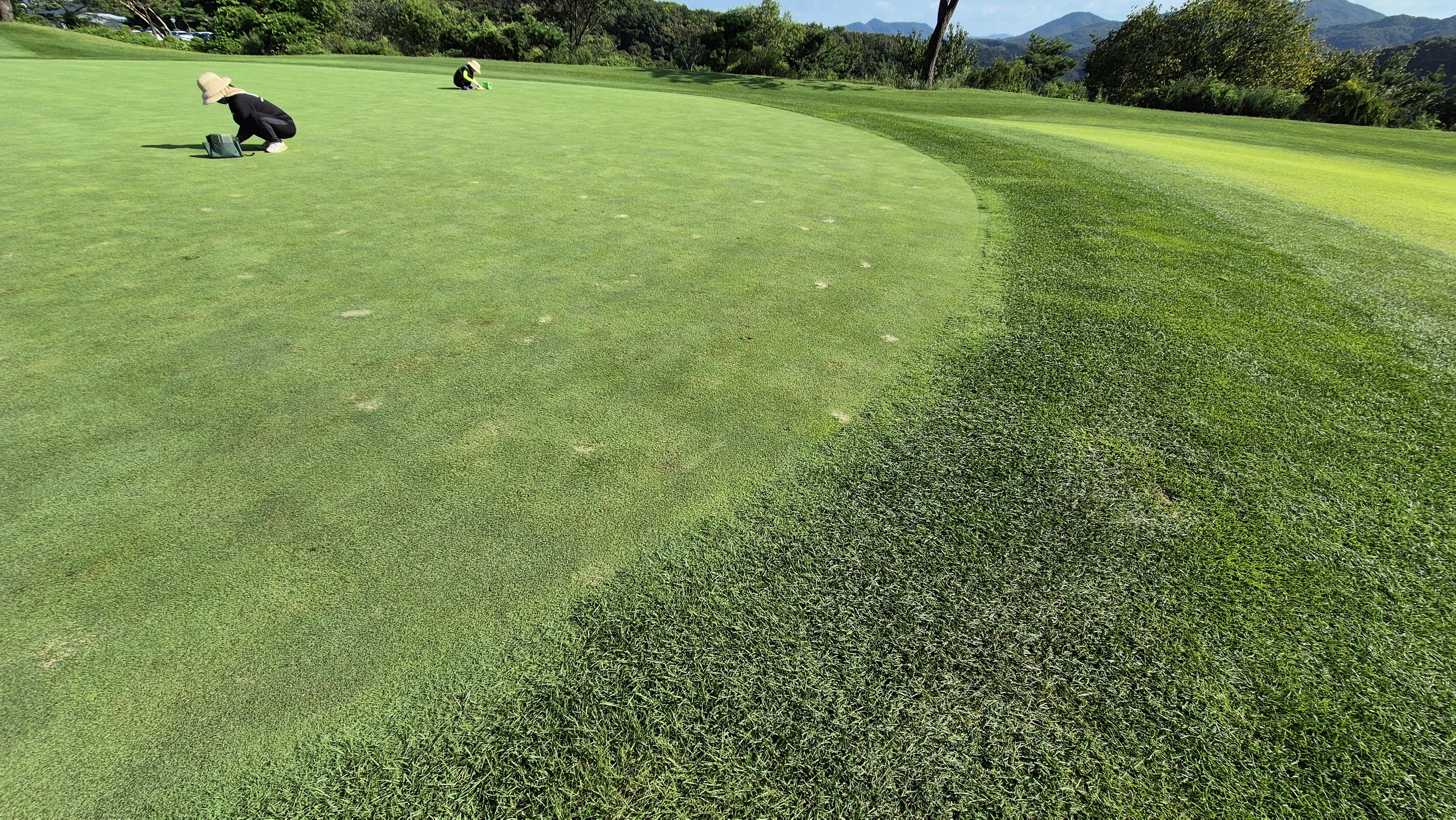 마론cc 라운드 후기