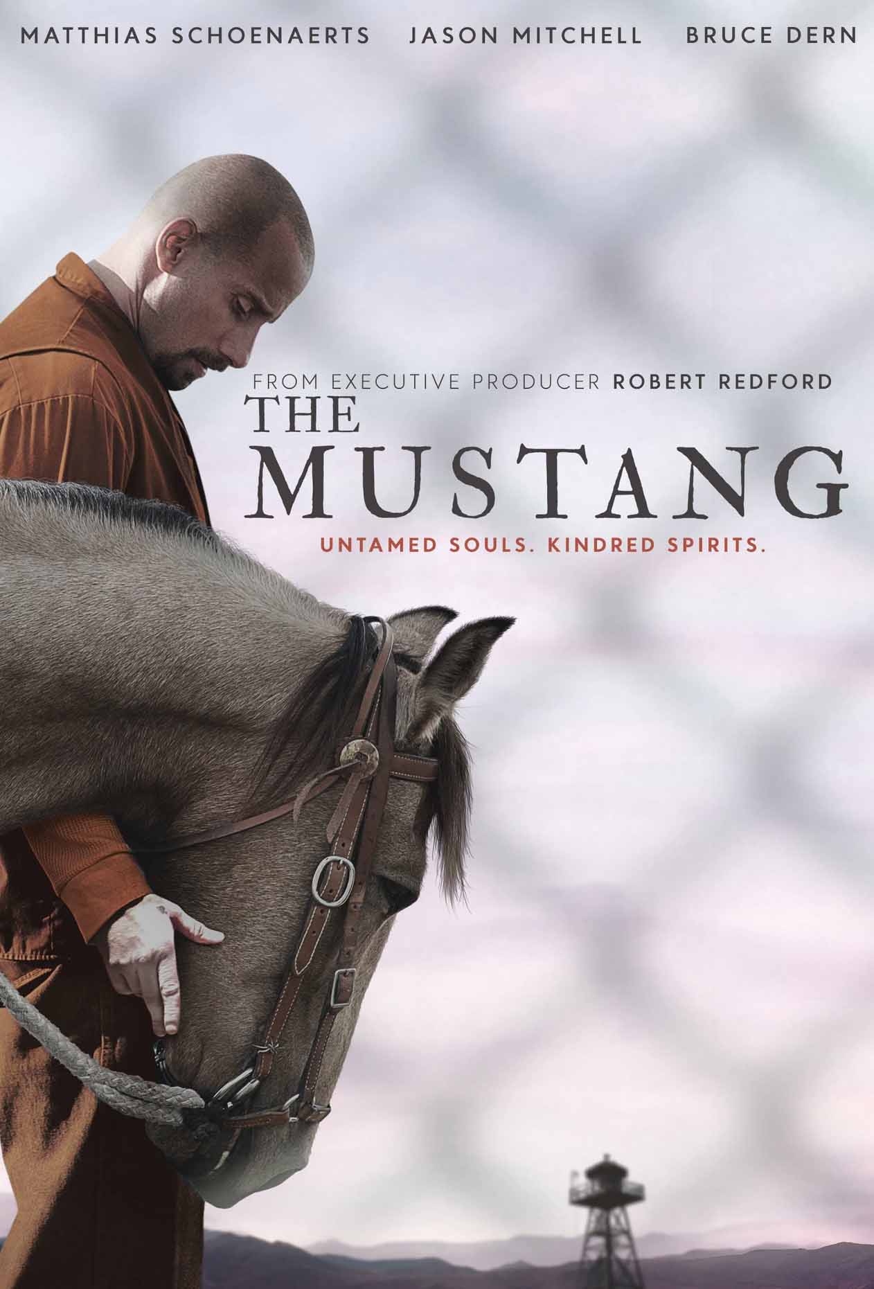 야생마와 죄수 (The Mustang, 2019) 영문 영화포스터