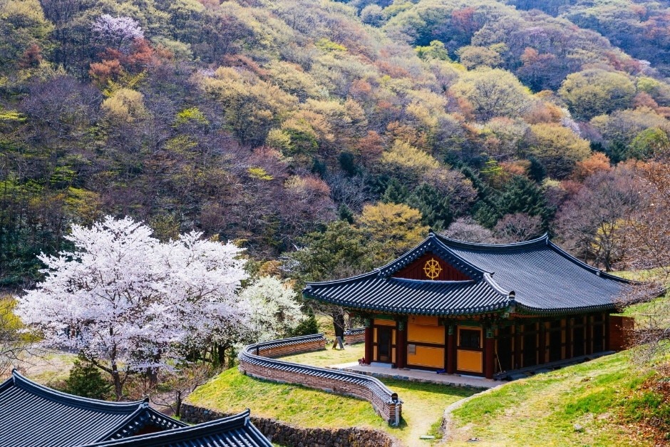 나주 가볼만한곳 베스트10