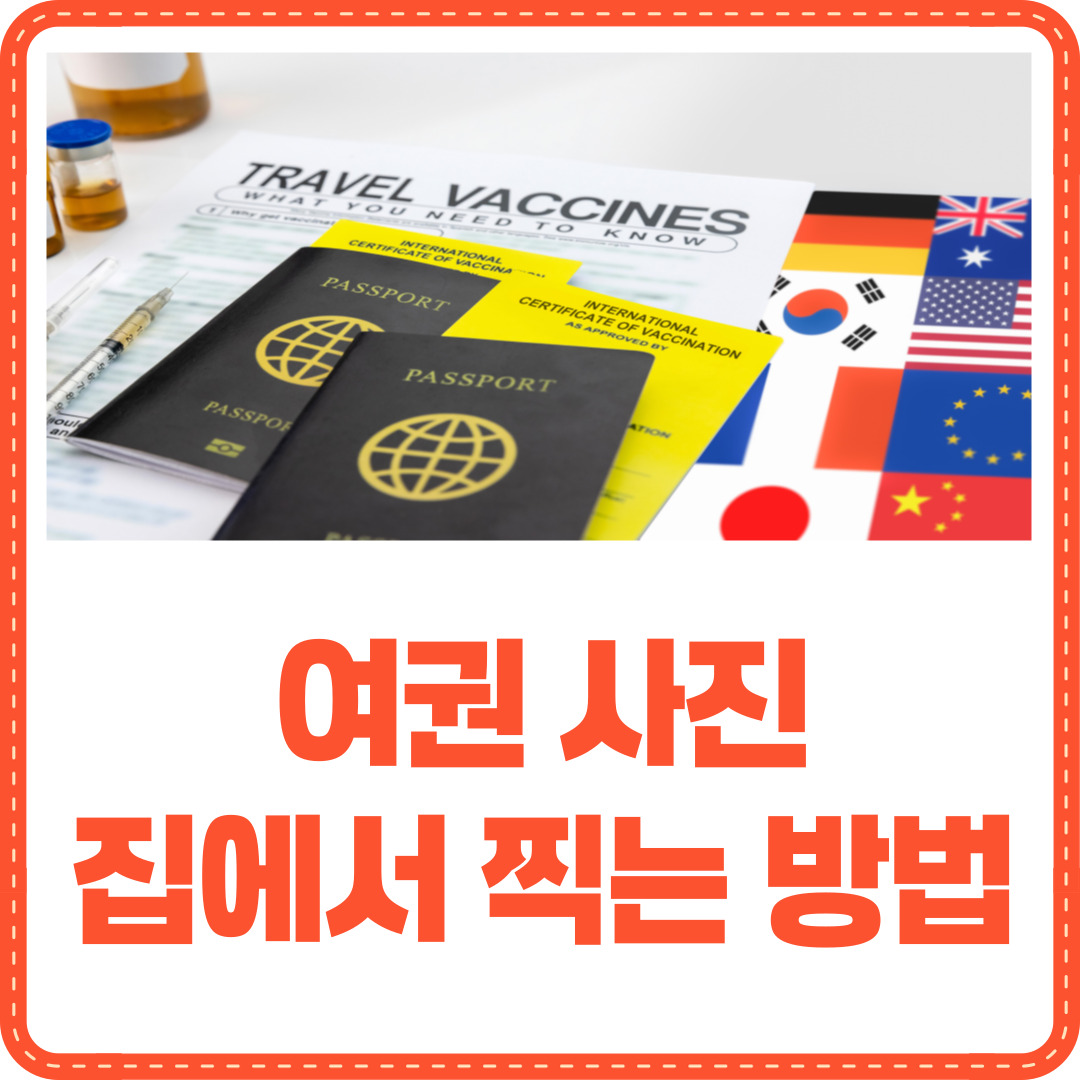 여권 사진 집에서 찍기