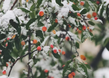 신장에 좋은 음식 10가지 신장에 나쁜 음식