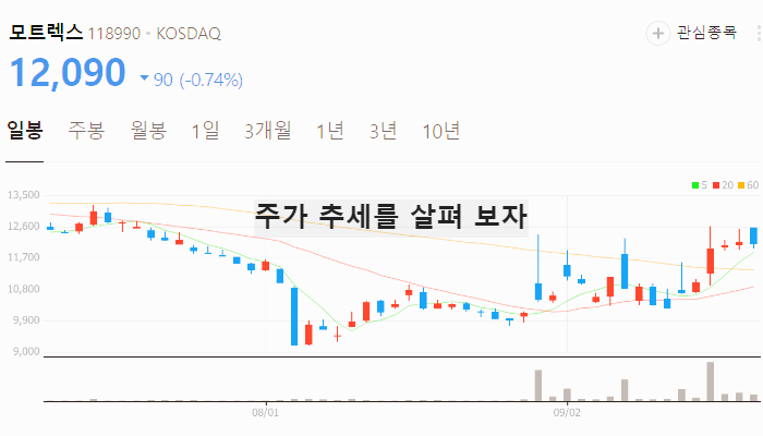 자율주행 관련주 TOP5 : 테슬라