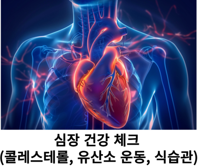 심장 건강 체크 (콜레스테롤, 유산소 운동, 식습관)