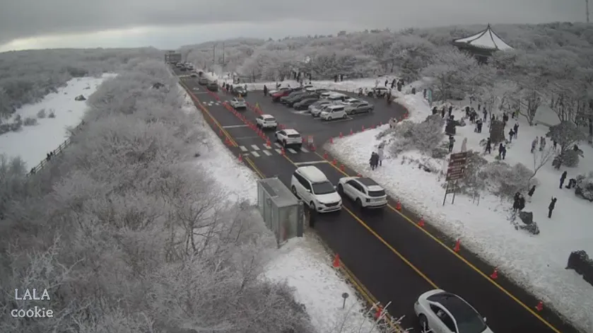 제주-여행-1100고지-실시간-사진