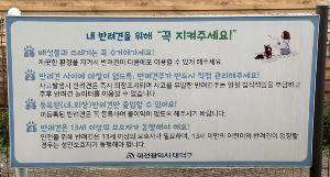 반려견과 함께하는 전국휴게소