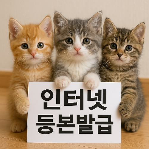 인터넷 등본발급