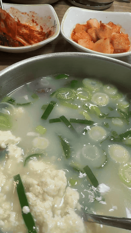 강릉 광덕식당 소순이 국밥 속 순두부 건더기 모습 GIF