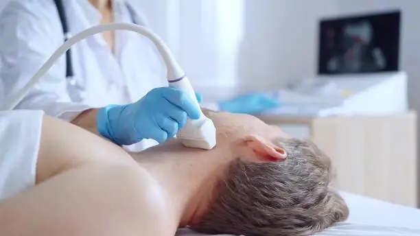 검진 항목별 평균 비용