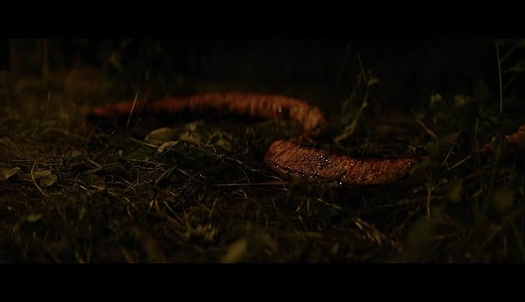 프레이 (2022) 영화