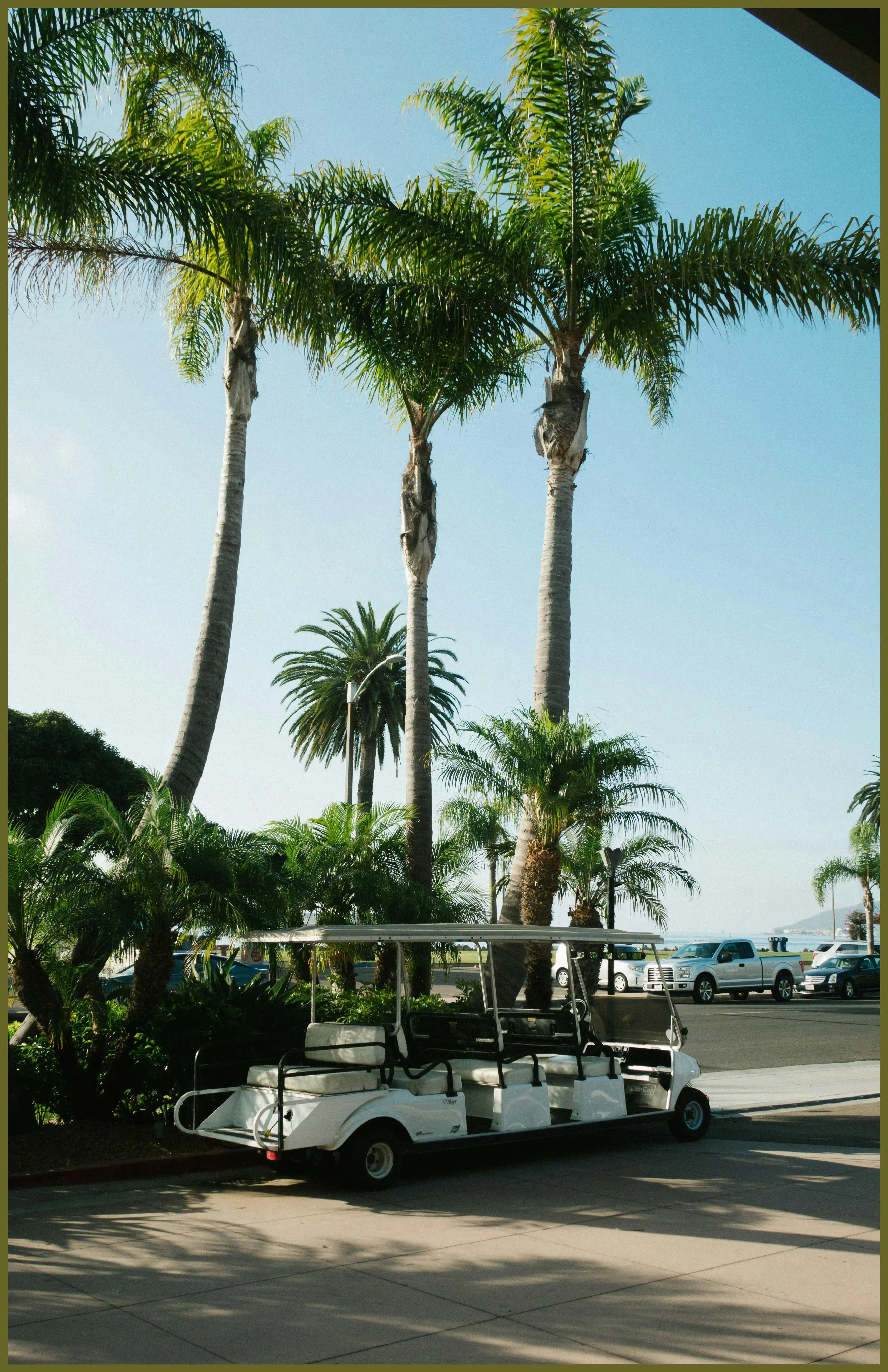 파크골프 용어 정리 해설 점수 계산법