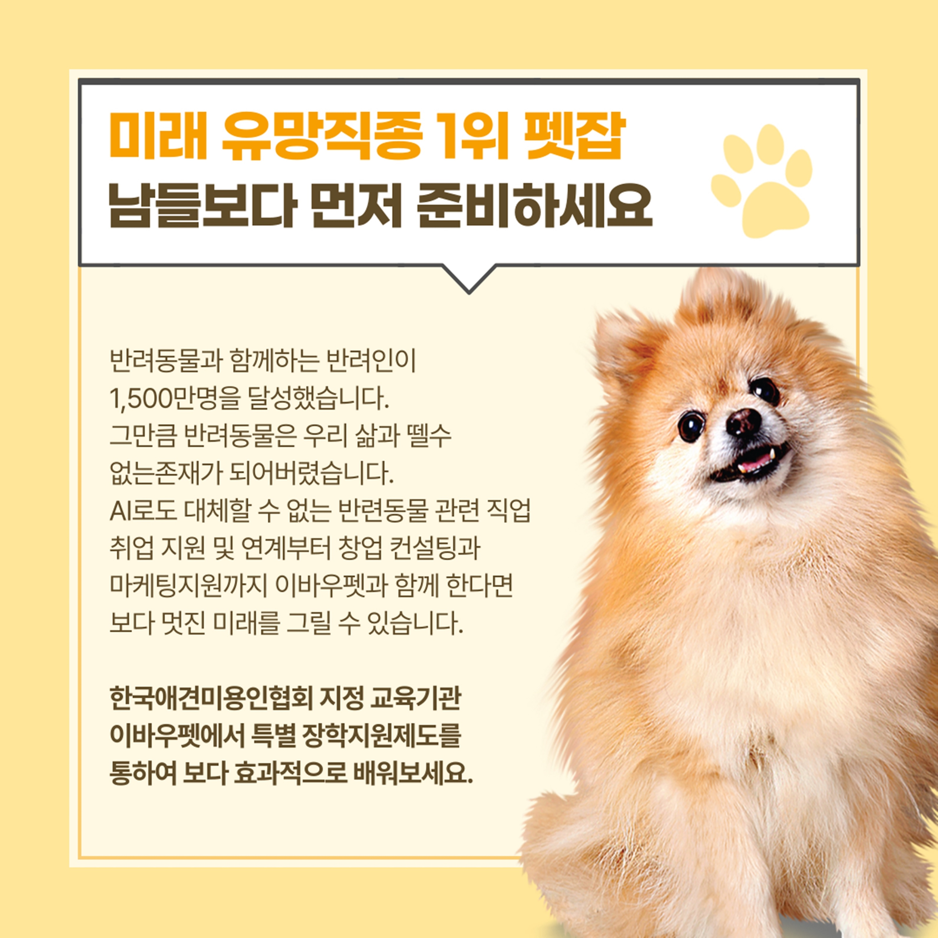 강서구애견미용학원