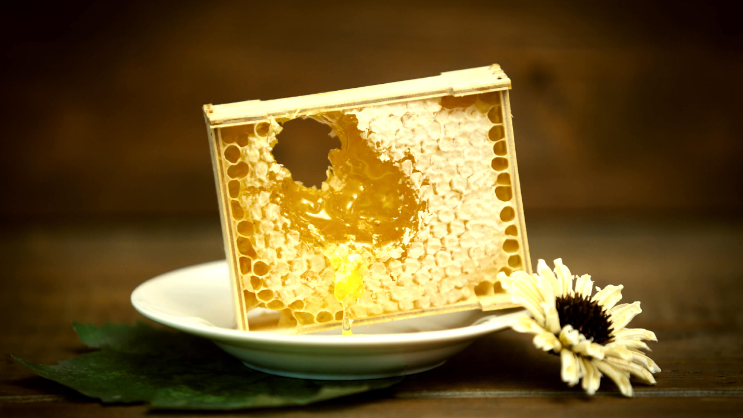 뛰어난 항염작용이 있는 프로폴리스