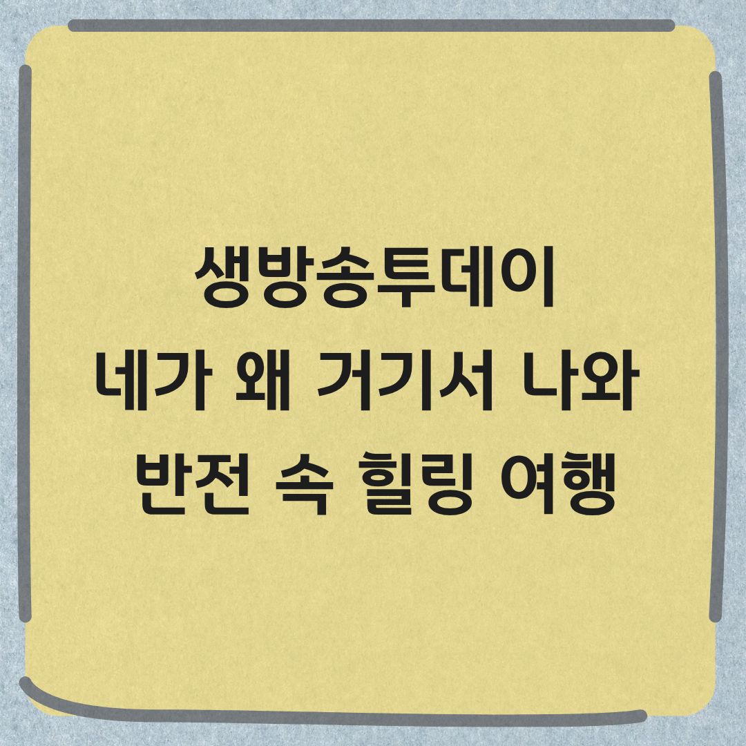 생방송투데이 네가 왜 거기서 나와 힐링여행 양평 용인 대구 카페 정보