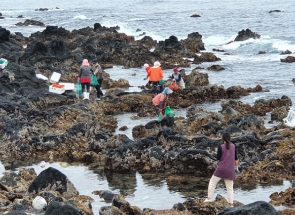 해루질 금지 동향
