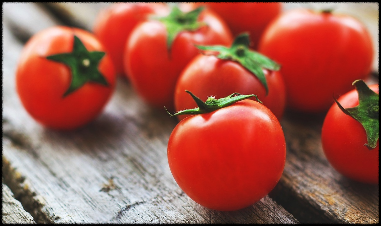 토마토 관련 이미지16