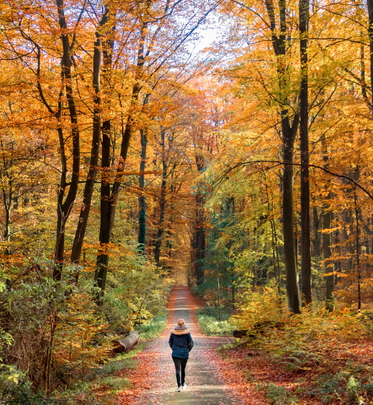 걷기 운동의 칼로리 소모, 효과, 올바르게 걷는 방법