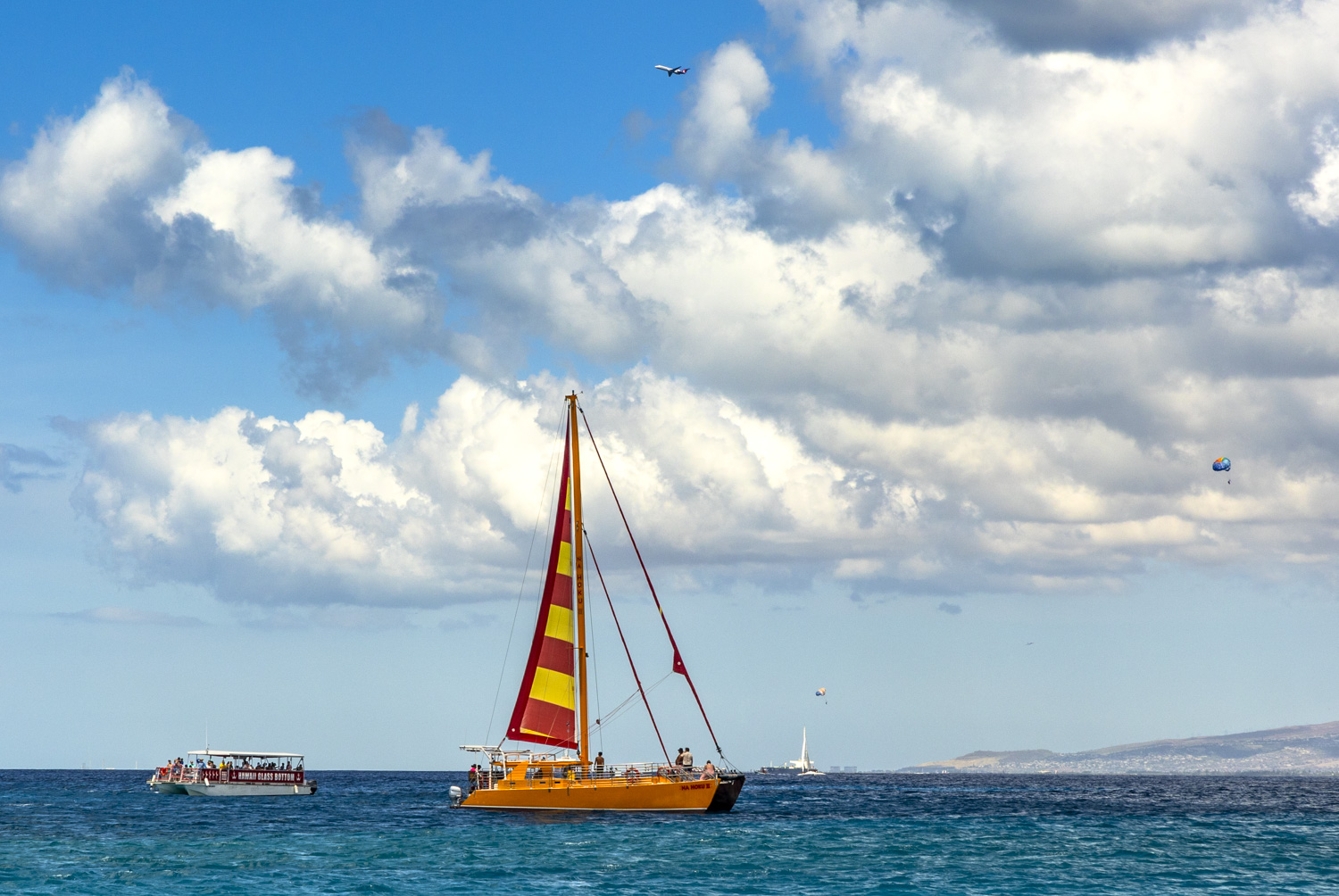 와이키키 세일링요트