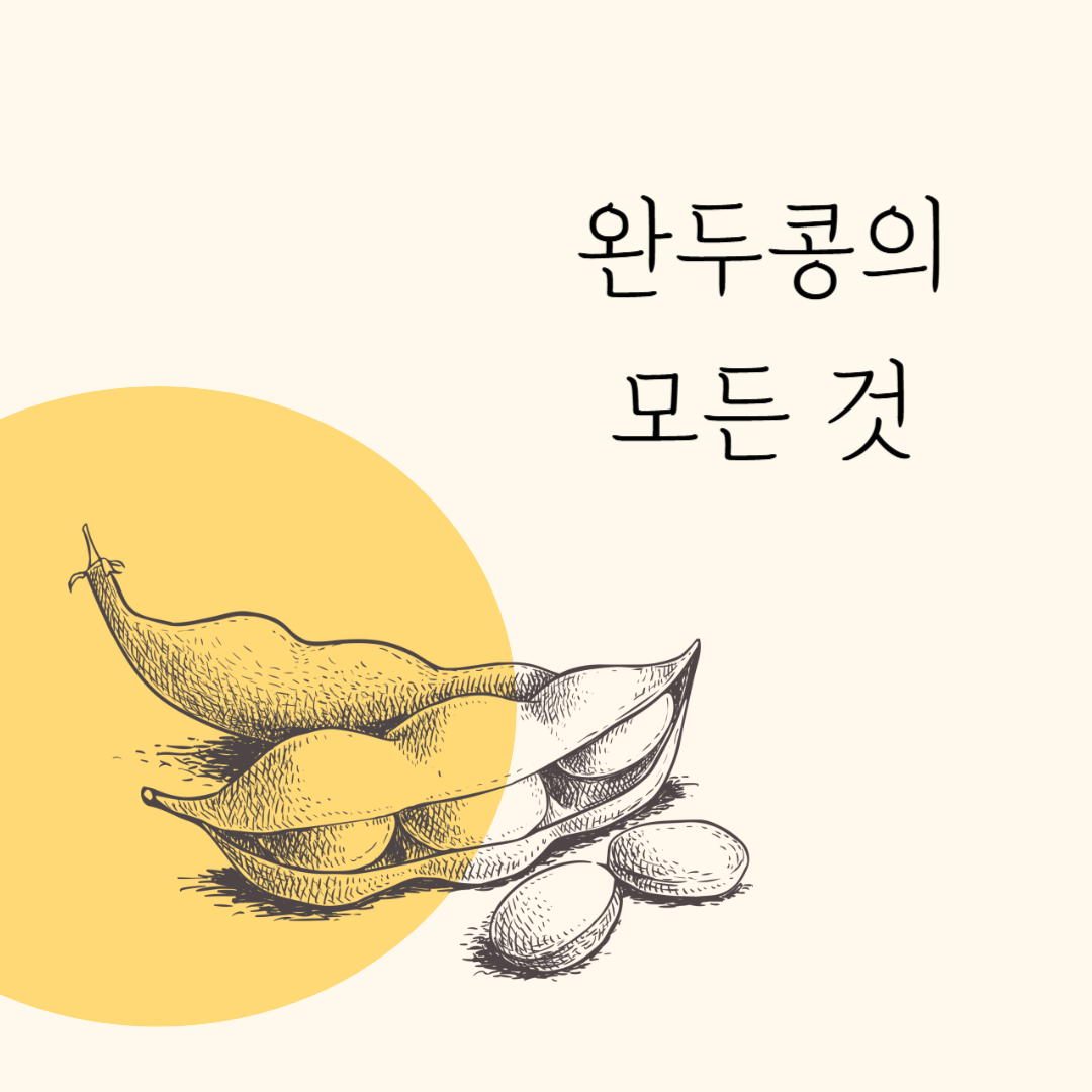 완두콩 수확시기