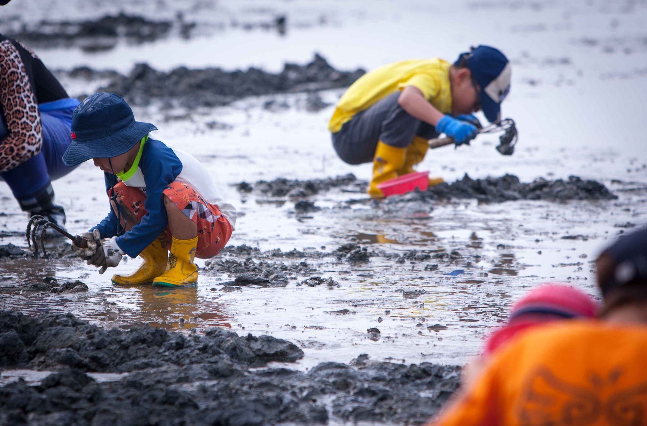 고창-하전갯벌마을