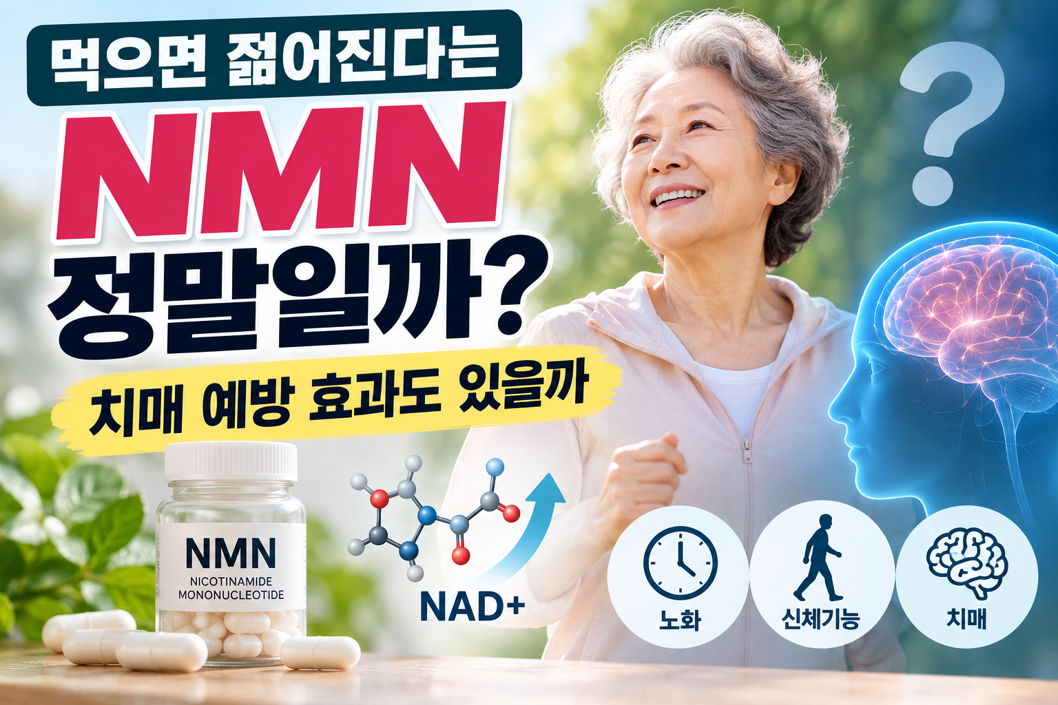 NMN의 노화와 치매 예방 효과를 알아보는 건강정보