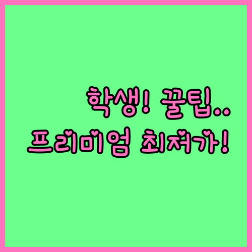 유튜브 라이트 학생 할인 대신 프리미..