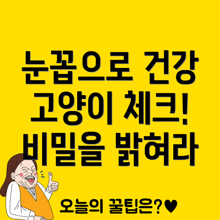 고양이 눈꼽