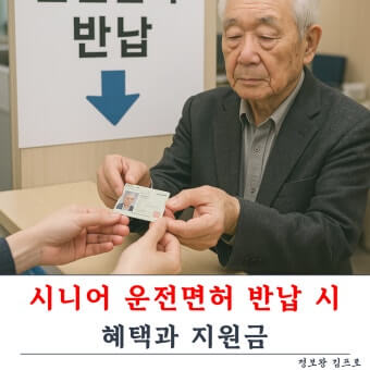 운전면허 반납 지원금
