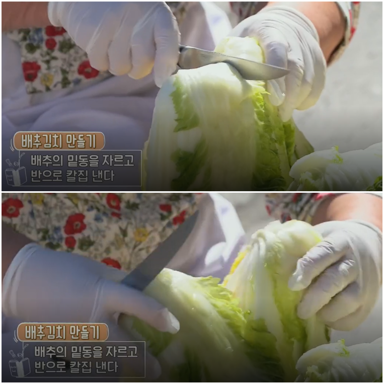 김장김치