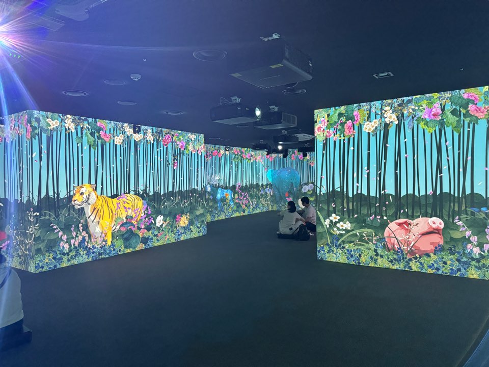 [대구박물관 관람 가이드] 어린이 체험존&middot;디지털아트&middot;전시실&middot;주차&middot;예약 안내