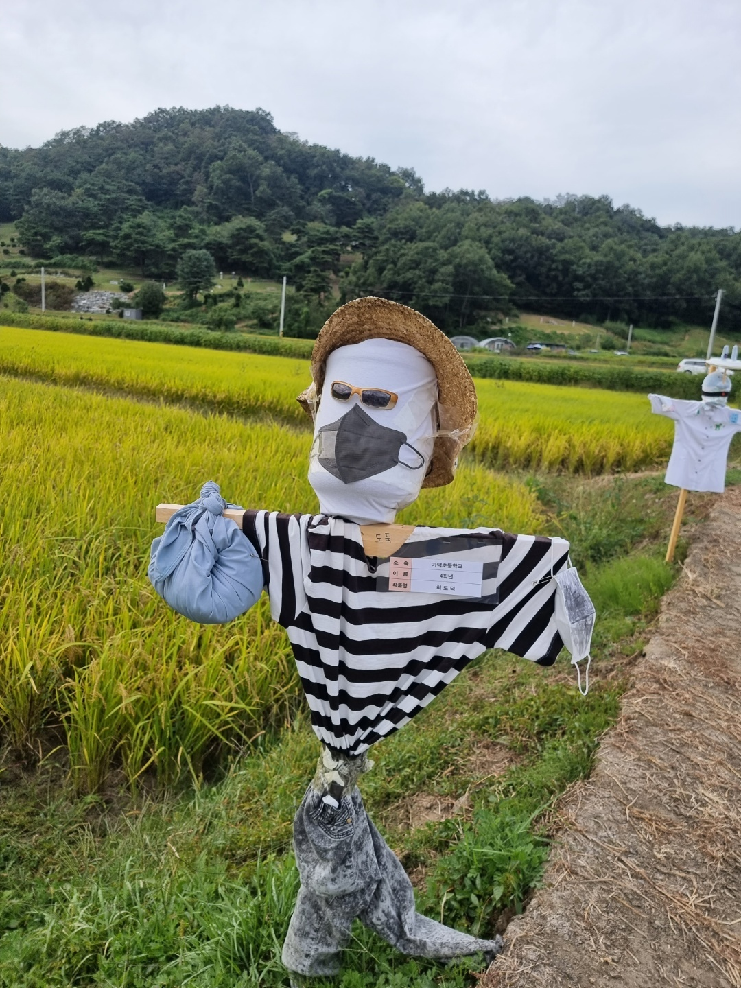 가덕 코스모스 (청주 코스모스길)