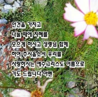 월례회 기도문 교회 대표 기도문_6