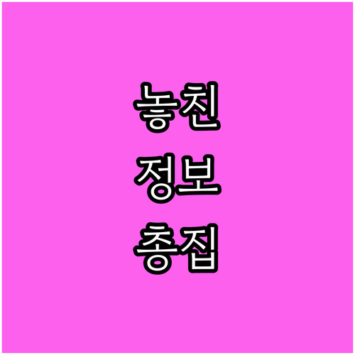 우리 동네 대형폐기물! 정확한 배출 ..