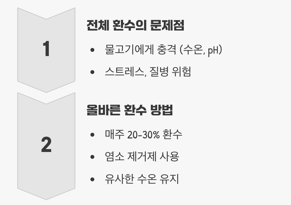 4. "깨끗하게 해줄게!" 100% 전체 환수의 함정