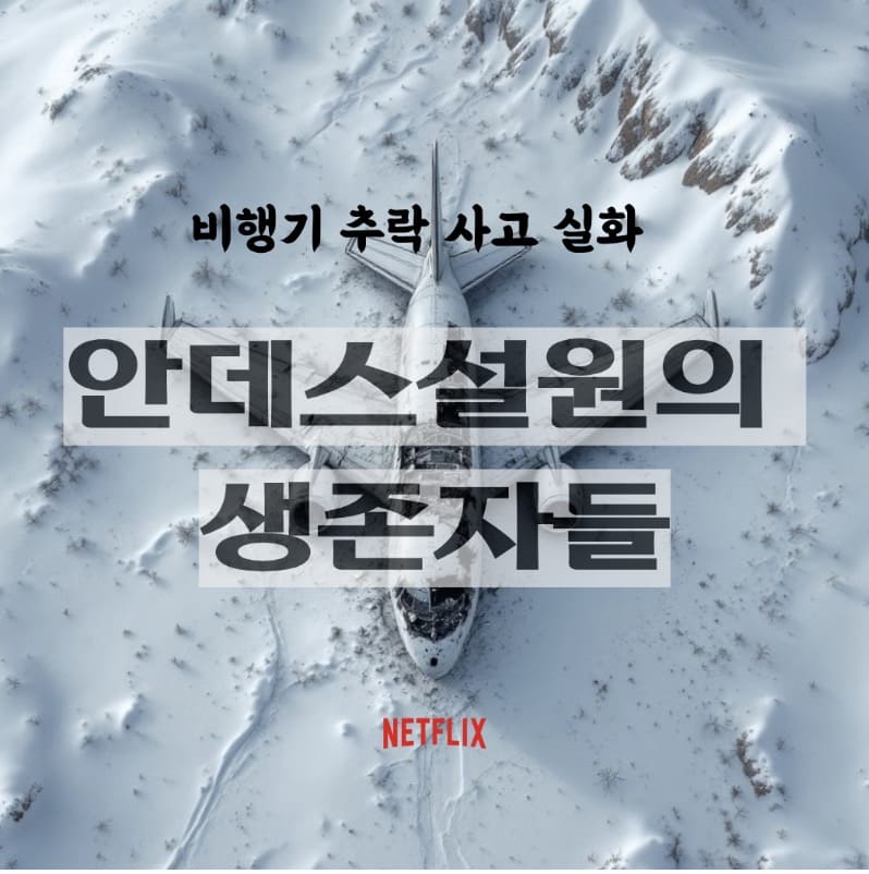 비행기 추락 사고 실화
