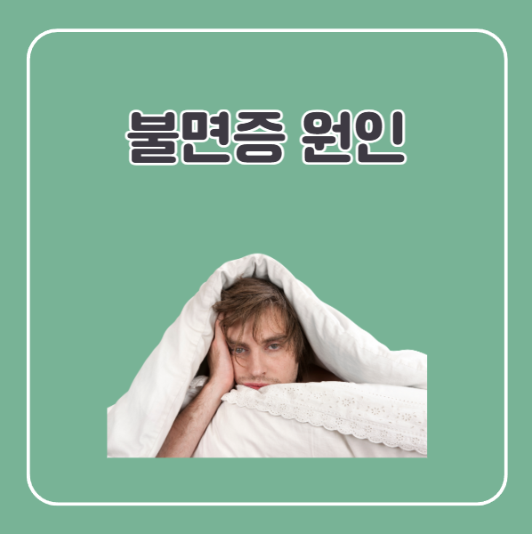 불면증 원인