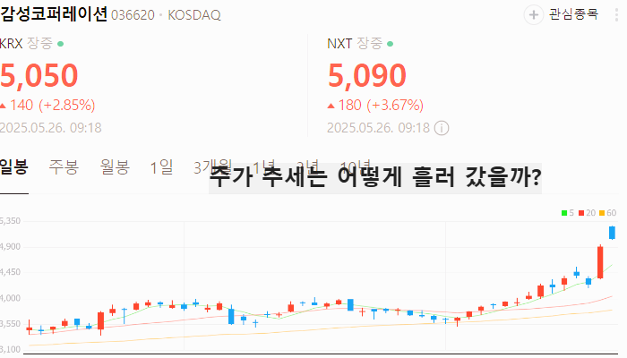 패션 의류 관련주 대장주 테마주 수혜주 TOP5