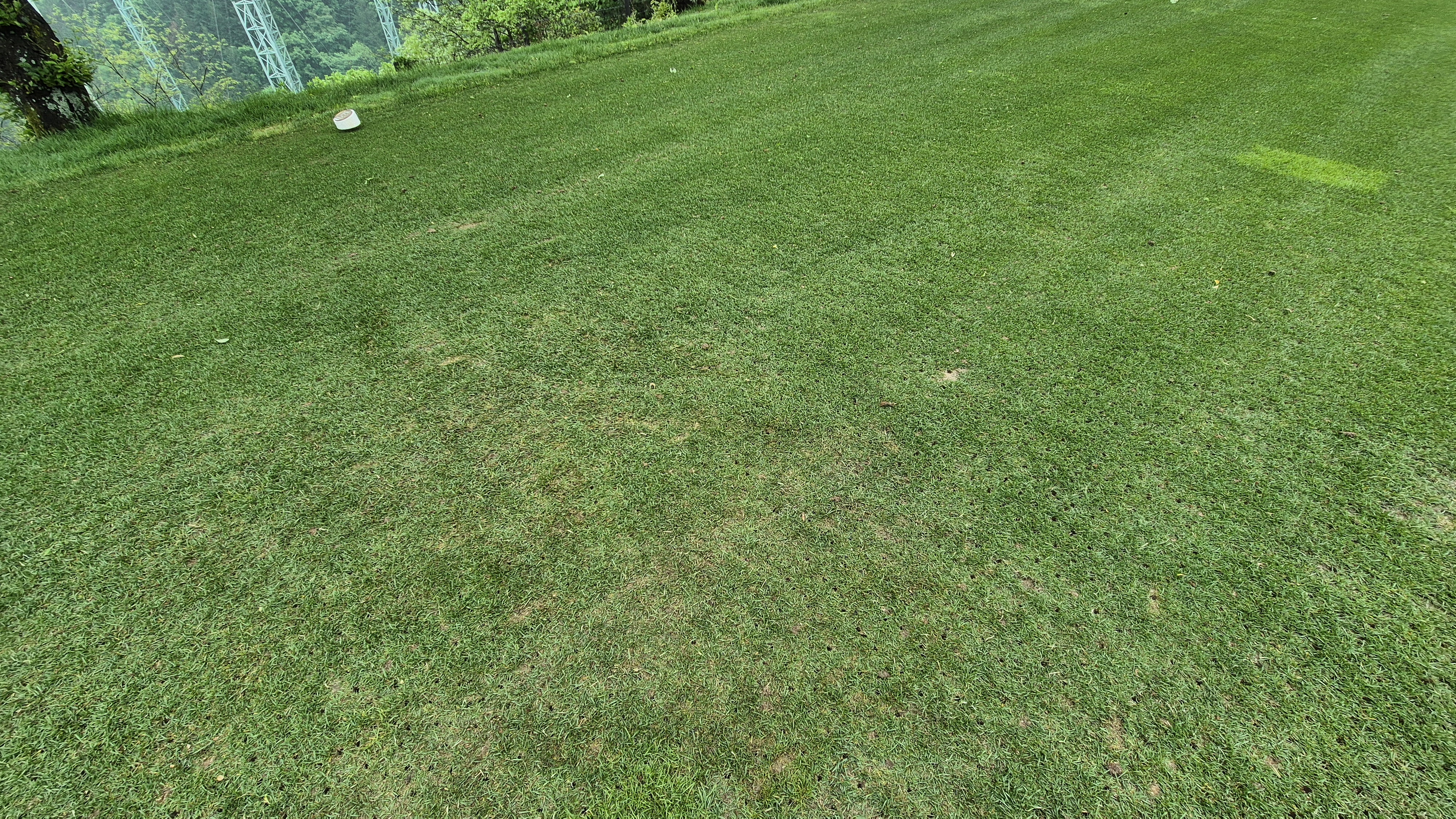 엘리시안 강촌cc 라운드 후기