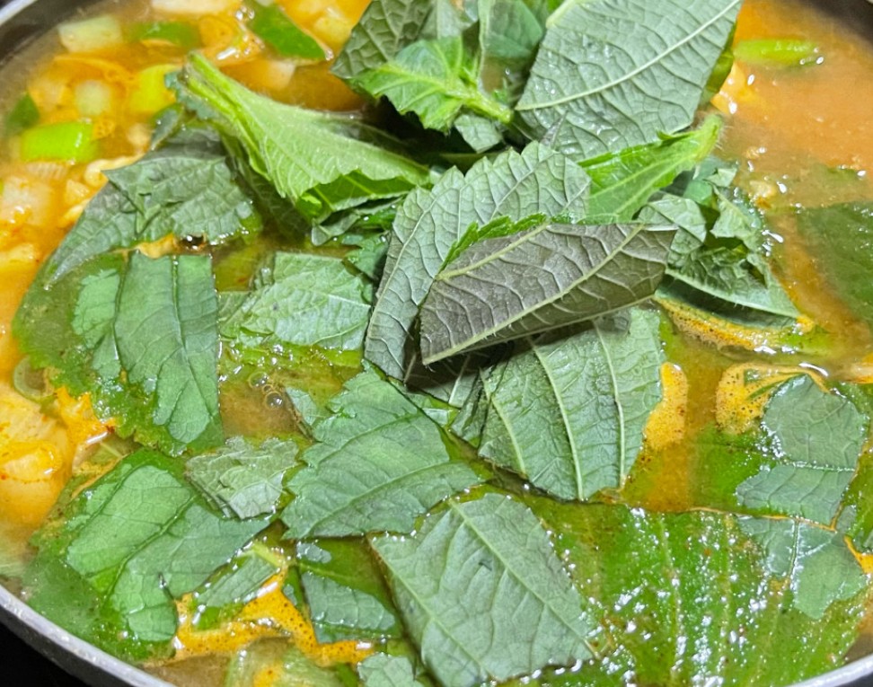 6시내고향 화성발안만세시장 어죽