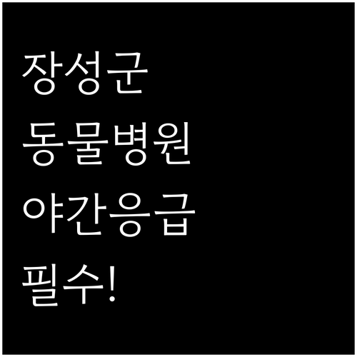 장성군 동물병원 위치와 야간 응급처 ..