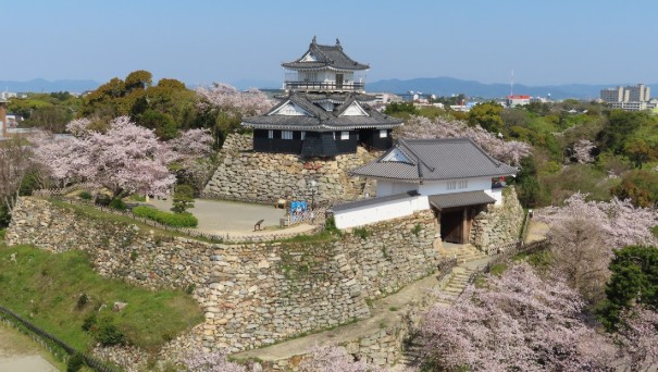 [일본 여행지 추천] 시즈오카 날씨, 위치, 맛집, 쇼핑, 가볼만한곳(후지산, 온천), 료칸