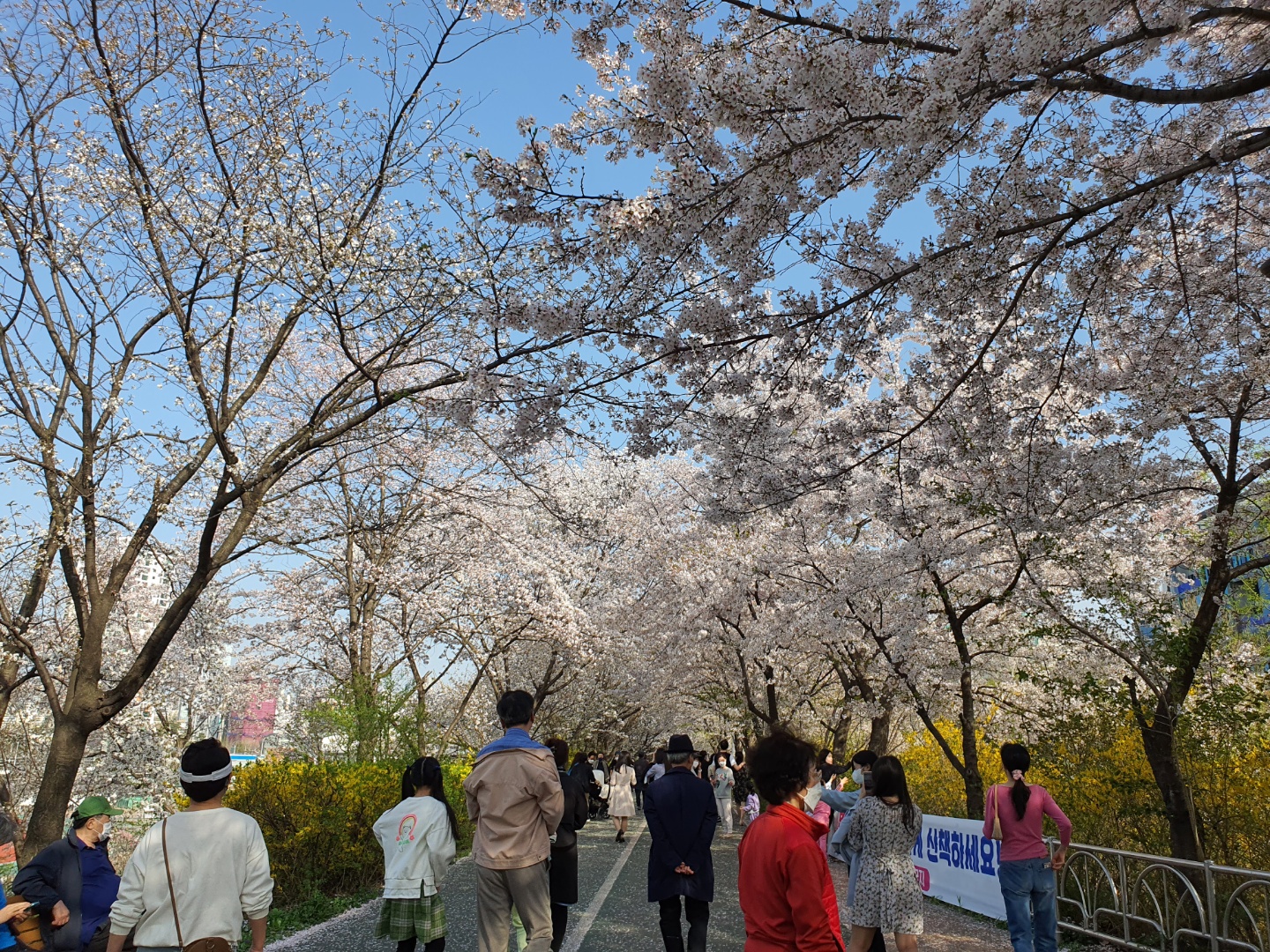 피천득 산책로와 사람들