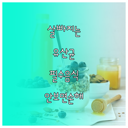 효과적인 체중 감량을 위한 유산균 다..