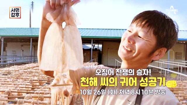 서민갑부-경북-영덕-반건조-오징어-갑부