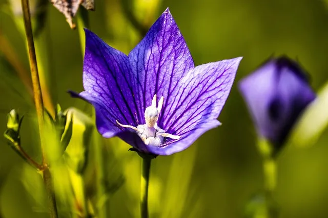 여름 남성 샌들 고르기 스타일별 추천 완벽 가이드_6