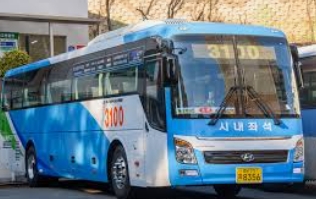 양산 3100번 버스