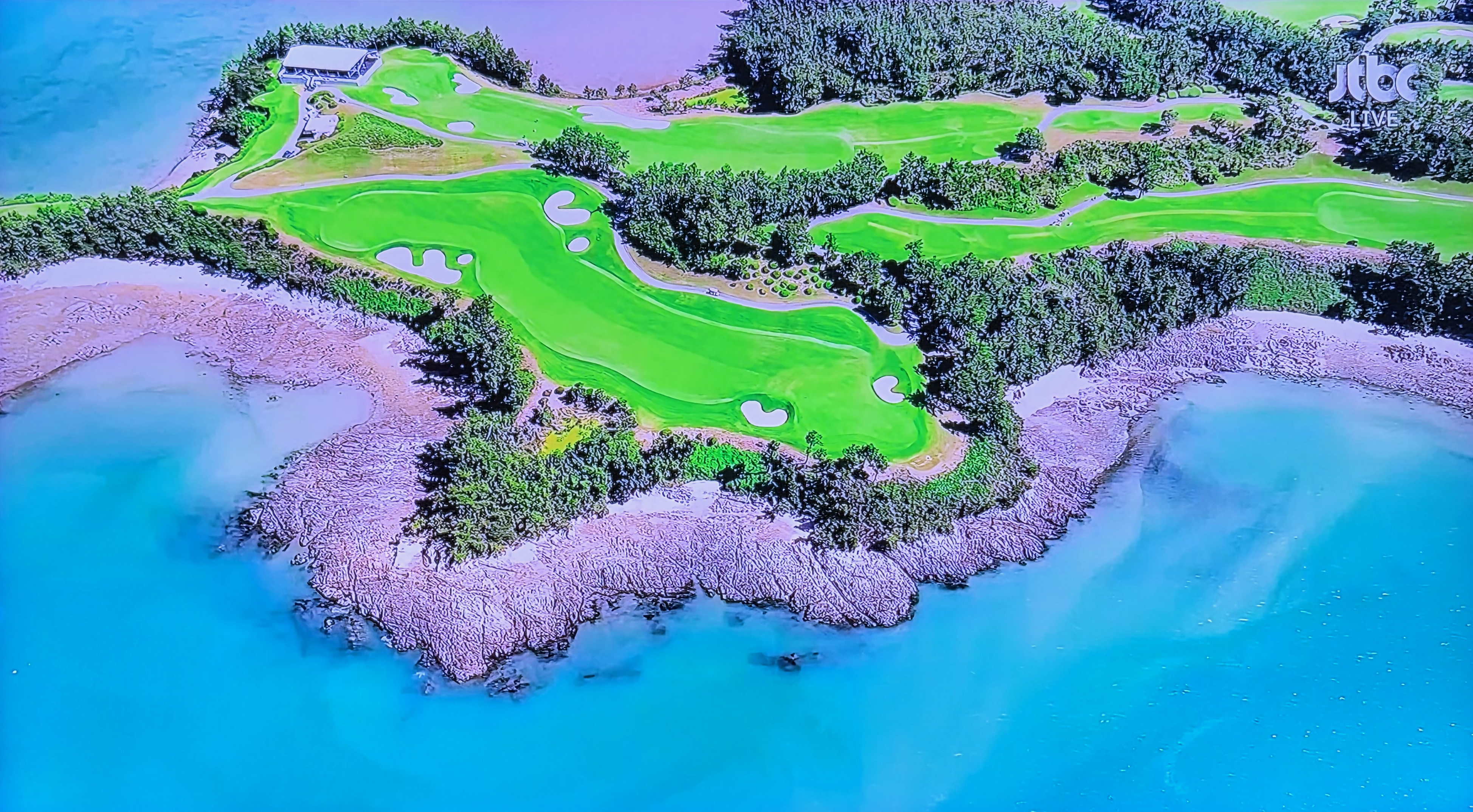LPGA BMW 레이디스 챔피언십