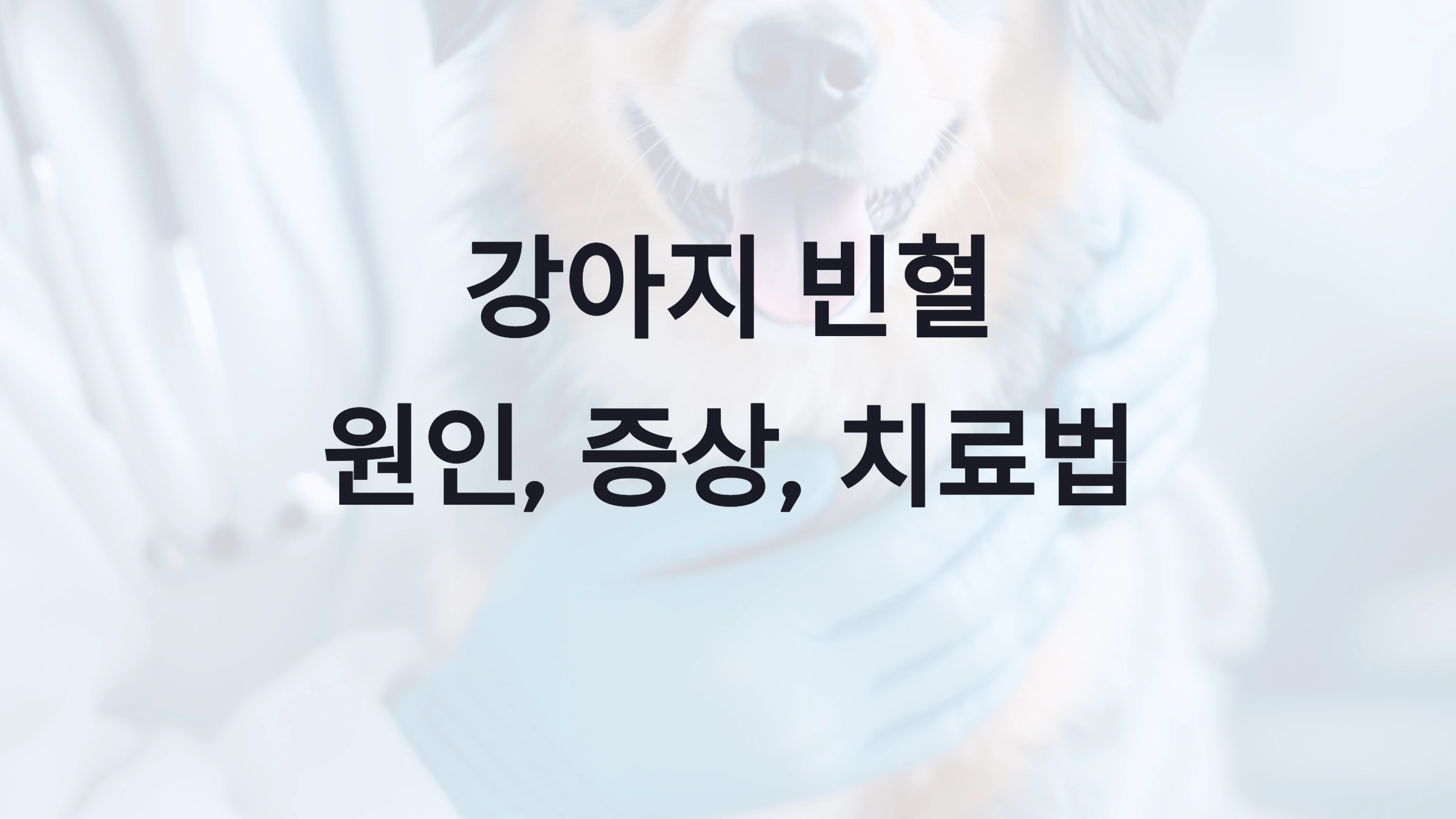 🐶 강아지 빈혈 수치와 원인, 대처법
