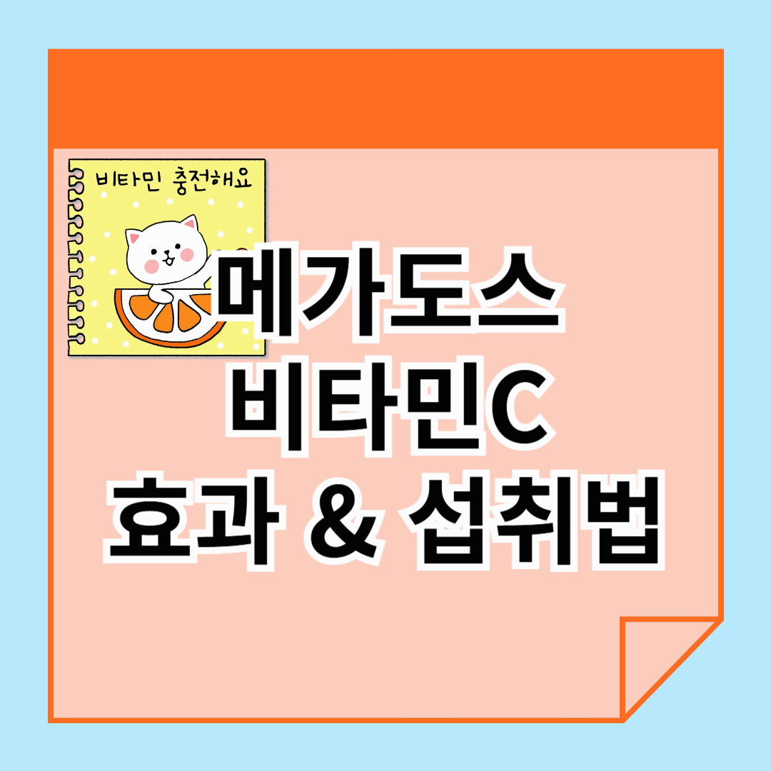 메가도스 비타민C, 효과와 올바른 섭취법 총정리!